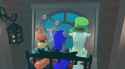 2.74 MB