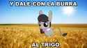 Rule 34 Rule 34 Image