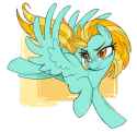 151 KB