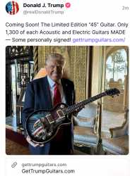 trump guitar