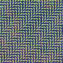 Animal_Collective_-_Merriweather_Post_Pavilion