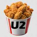 U2 bucket