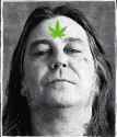 Matt Pike Weedlord