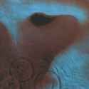 meddle