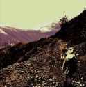 Be It Known... Skeleton - Dominic Bennett