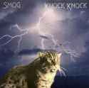 kitty