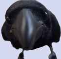nevermore