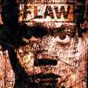 Flaw_through_eyes