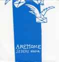 anemone