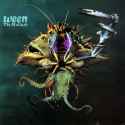 The_Mollusk_cover