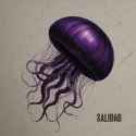 jelly cover 600px