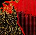 107437040.4_image