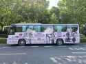 gaeul43