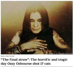 ozzy