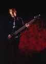 andy bell