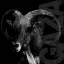 81CbvSBaBzS._UF1000,1000_QL80_