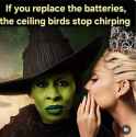 FB_IMG_1733425772909