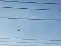 IMG_20250716_164726869