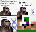 511 KB