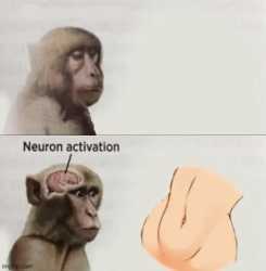 34 KB