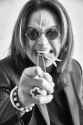 ozzy pointing.jpg