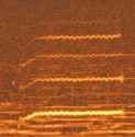 244 KB