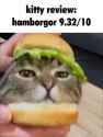 501 KB
