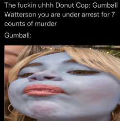 355 KB