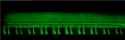 73 KB