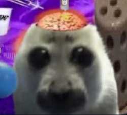 39 KB