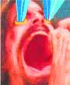 355 KB