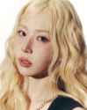 491 KB