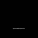 1.56 MB