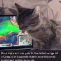 222 KB