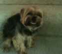 158 KB