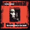82 KB