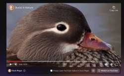 245 KB