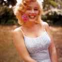 335 KB