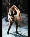 31 KB