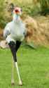 27 KB
