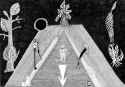 75 KB