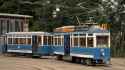 streetcar-strassenbahn-tram-zürich-tmz-museumslinie-21-trammuseum-zurich-switzerland-museum-historical-schweiz-suisse-svizzera-depot-burgwies-public-transport-tramway-elefant-stoll-hans-rudolf