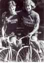 schwinn wolverine team