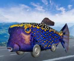 fishbus