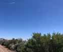 fourinjuns