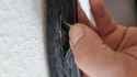 IMG-20250513-WA0007