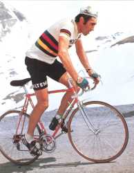 eddy-merckx