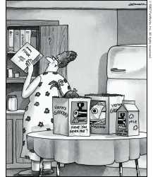 thefarside