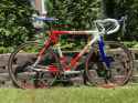 Roid
