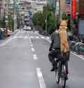 inu
